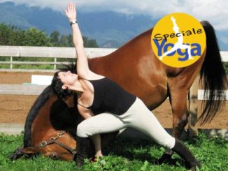 speciale yoga cavallo
