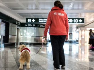 Pet therapy malpensa