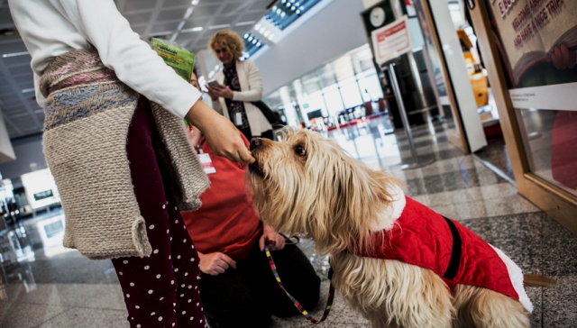 Pet therapy malpensa