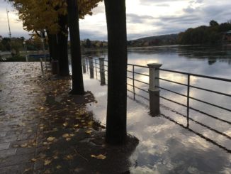 legambiente ticino inquinamento