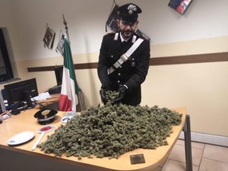 cassano spaccio marijuana
