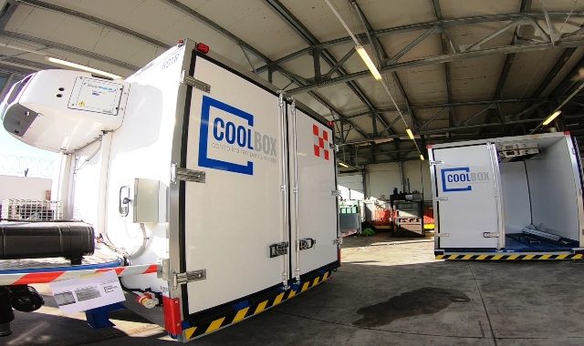 alha coolbox cargo