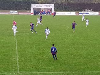 union villa sestese
