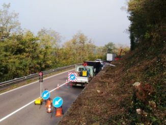 tornavento taglio piante
