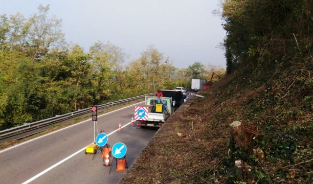 tornavento taglio piante