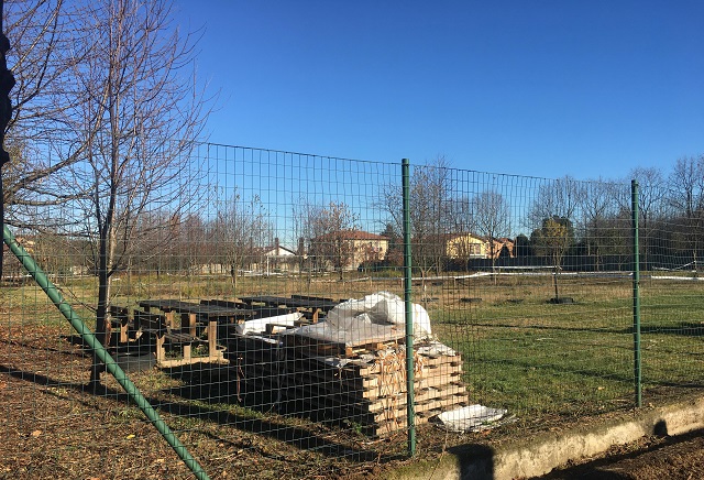 samarate portalupi elezioni