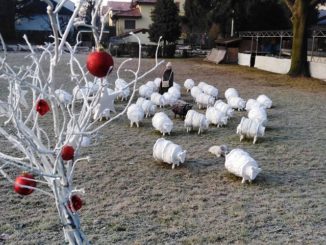 natale presepe casorate
