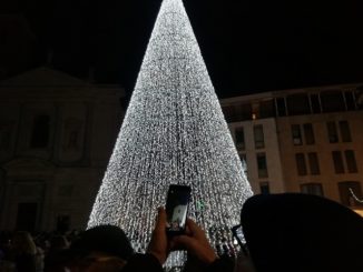 albero natale gallarate