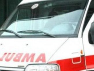 gallarate operaio muletto