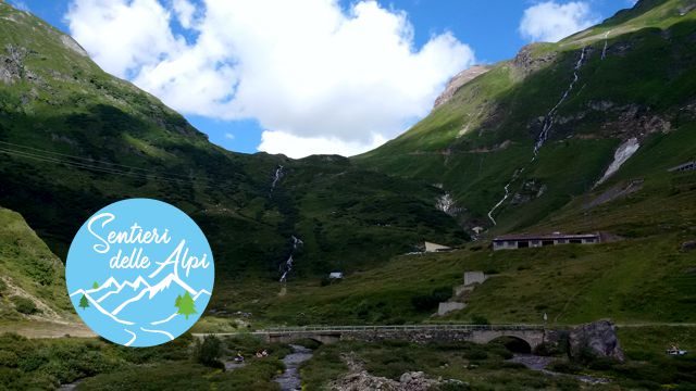 Riale Rifugio Busto