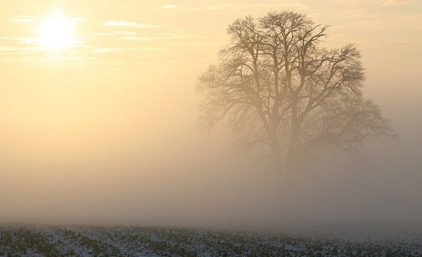 nuvole sole nebbia