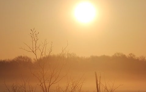 pressione sereno nebbia