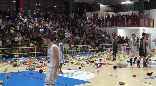 peluche basket gallarate