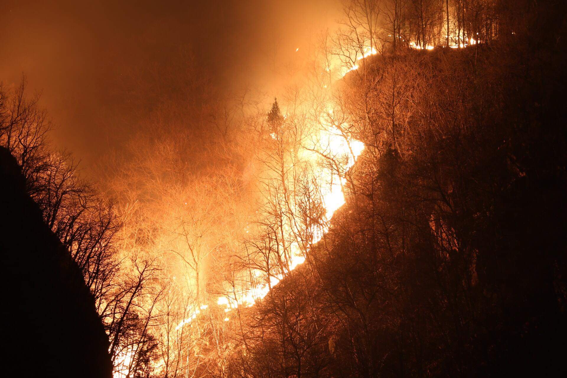 incendio bedero mondonico