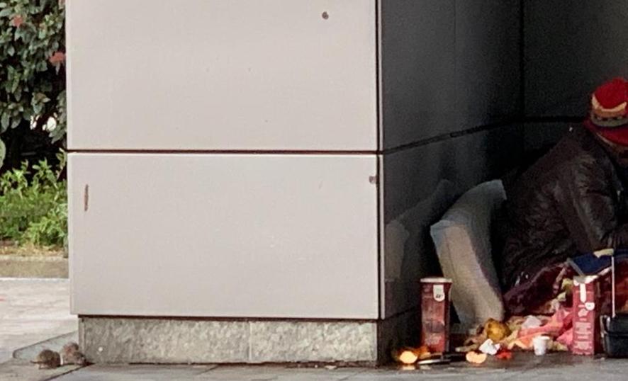 topi stazione busto