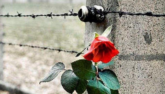 dairago giornata memoria spettacolo