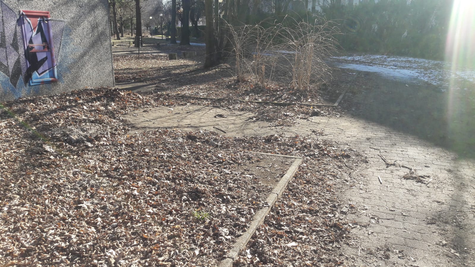 busto parco degrado