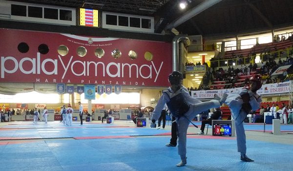 taekwondo palayamamay busto 01