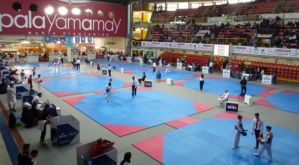taekwondo palayamamay busto 03