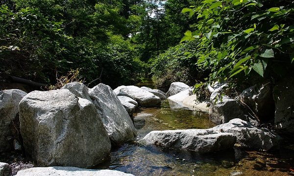 zone umide rugareto