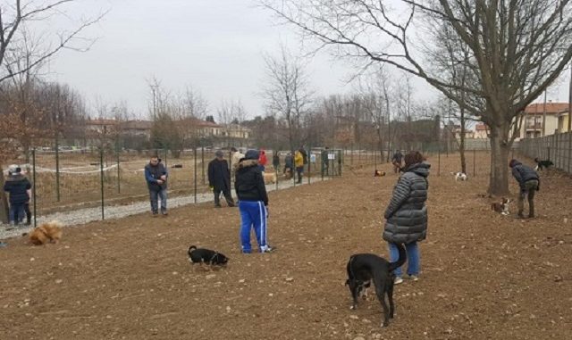 magnago animali cani area