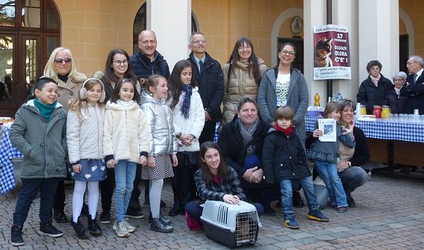 foto gatti olgiate 01