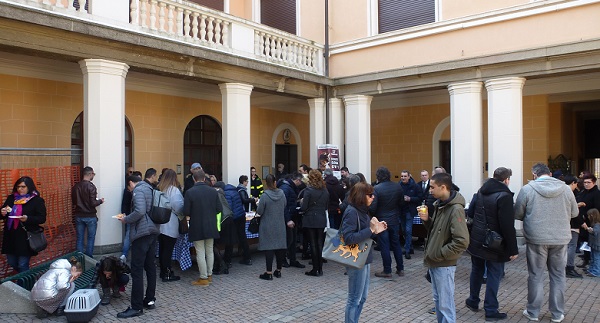 foto gatti olgiate 04