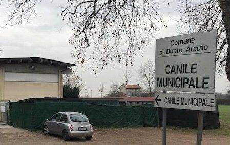 rogora canile busto