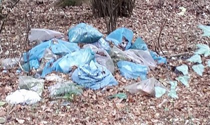 besnate rifiuti abbandonati fototrappole