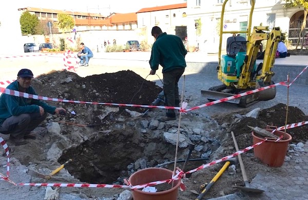 busto piazza comune piante