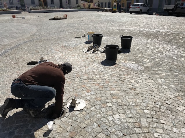busto piazza comune piante