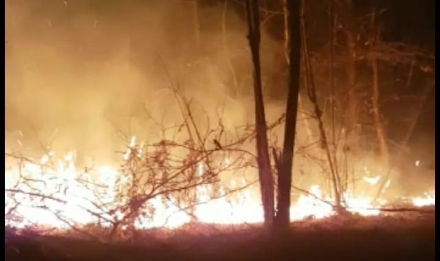 cairate incendio bosco