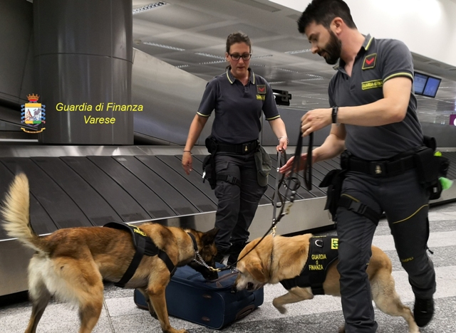 malpensa eroina cani antidroga