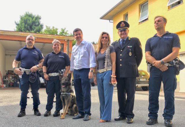 cane polizia locale gallarate