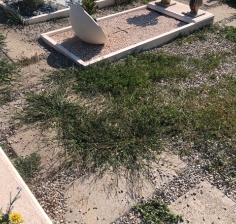 busto cimitero degrado
