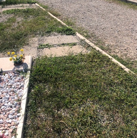 busto cimitero degrado