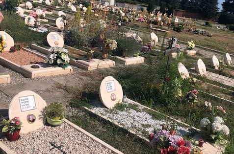 busto cimitero degrado