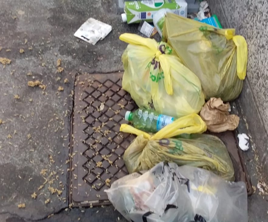castellanza larve cantoni sapazzatura