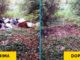 CASSANO MAGNAGO – Lo scorso fine settimana ha visto impegnato il Circolo Legambiente di Cassano Magnago in diversi appuntamenti di Puliamo il Mondo, l'edizione italiana di Clean Up the World, il più grande evento di volontariato ambientale del mondo.