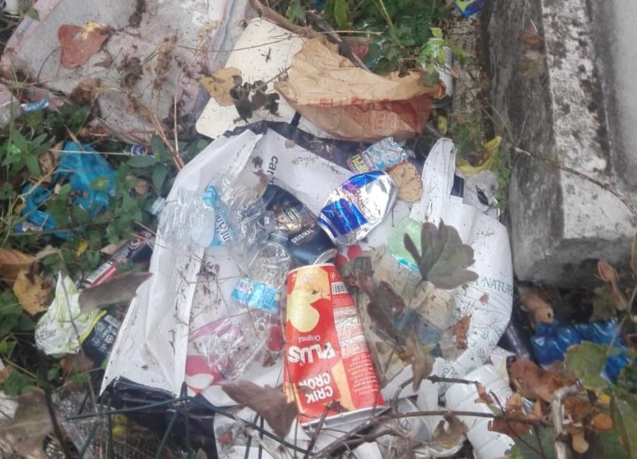 gallarate rifiuti degrado arnetta