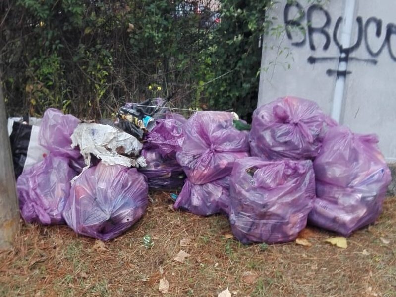 gallarate rifiuti degrado arnetta