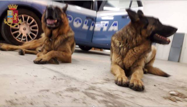 busto cani salvati polizia