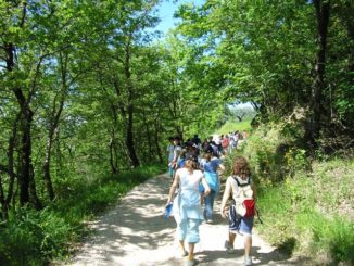 lonate scuola natura ticino