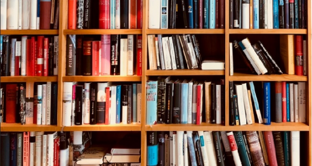 cerro maggiore biblioteca libri
