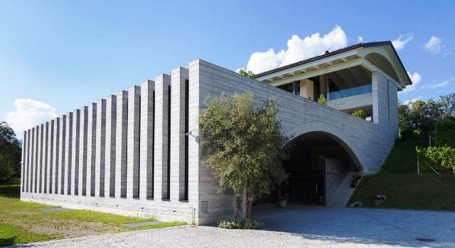 cantina moncucchetto vino ticinese