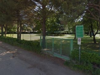 area cani cassano magnago