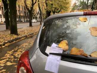busto multe sindaco rogora
