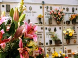 furti fiori cimiteri gallarate