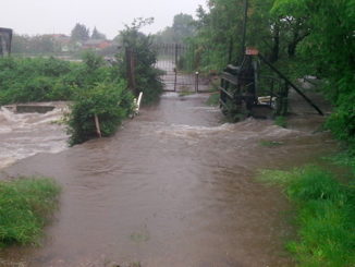 facchinetti olona piena regione