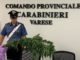 varese coltivatore marijuana balcone